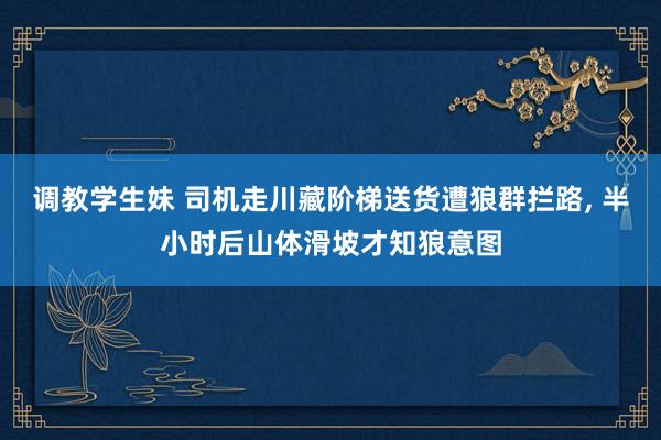 调教学生妹 司机走川藏阶梯送货遭狼群拦路， 半小时后山体滑坡才知狼意图