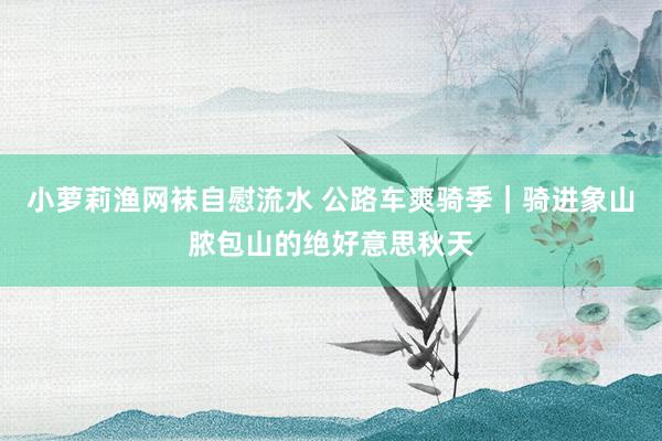 小萝莉渔网袜自慰流水 公路车爽骑季｜骑进象山脓包山的绝好意思秋天