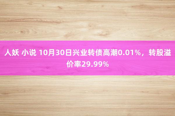 人妖 小说 10月30日兴业转债高潮0.01%，转股溢价率29.99%