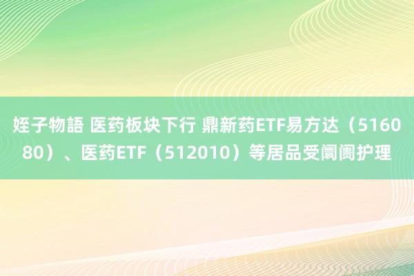 姪子物語 医药板块下行 鼎新药ETF易方达（516080）、医药ETF（512010）等居品受阛阓护理