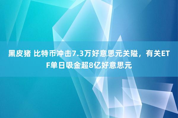 黑皮猪 比特币冲击7.3万好意思元关隘，有关ETF单日吸金超8亿好意思元