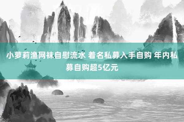 小萝莉渔网袜自慰流水 着名私募入手自购 年内私募自购超5亿元