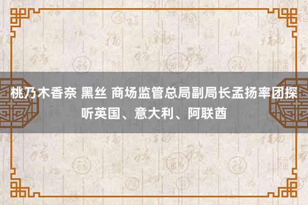 桃乃木香奈 黑丝 商场监管总局副局长孟扬率团探听英国、意大利、阿联酋