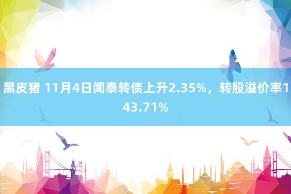 黑皮猪 11月4日闻泰转债上升2.35%，转股溢价率143.71%