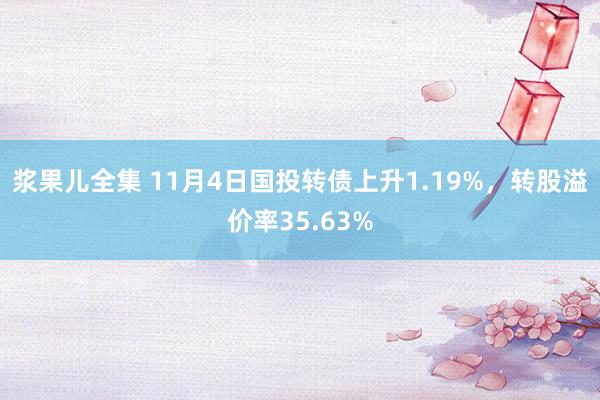 浆果儿全集 11月4日国投转债上升1.19%，转股溢价率35.63%