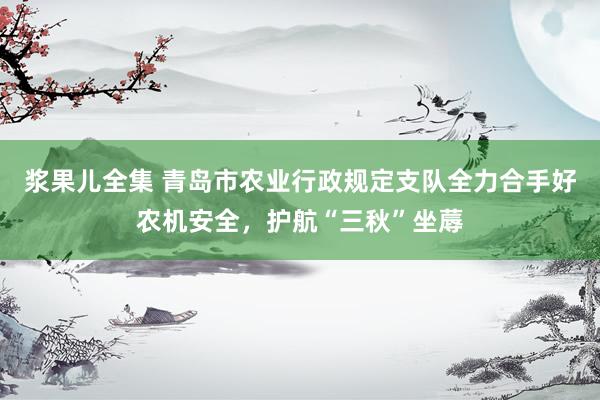 浆果儿全集 青岛市农业行政规定支队全力合手好农机安全，护航“三秋”坐蓐