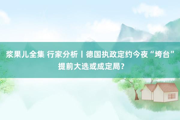 浆果儿全集 行家分析丨德国执政定约今夜“垮台” 提前大选或成定局？