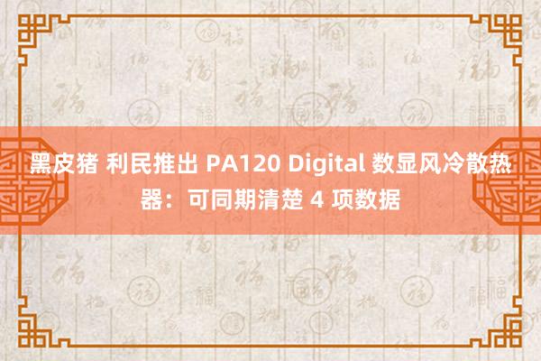 黑皮猪 利民推出 PA120 Digital 数显风冷散热器：可同期清楚 4 项数据