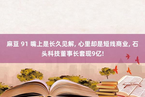 麻豆 91 嘴上是长久见解， 心里却是短线商业， 石头科技董事长套现9亿!