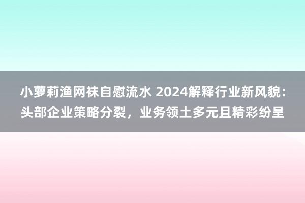 小萝莉渔网袜自慰流水 2024解释行业新风貌：头部企业策略分裂，业务领土多元且精彩纷呈