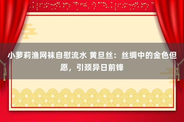 小萝莉渔网袜自慰流水 黄旦丝：丝绸中的金色但愿，引颈异日前锋