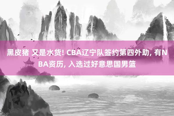 黑皮猪 又是水货! CBA辽宁队签约第四外助， 有NBA资历， 入选过好意思国男篮