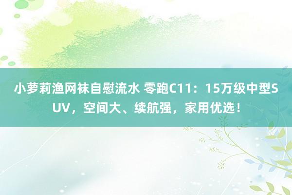 小萝莉渔网袜自慰流水 零跑C11：15万级中型SUV，空间大、续航强，家用优选！