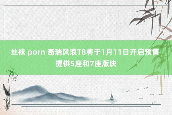 丝袜 porn 奇瑞风浪T8将于1月11日开启预售 提供5座和7座版块