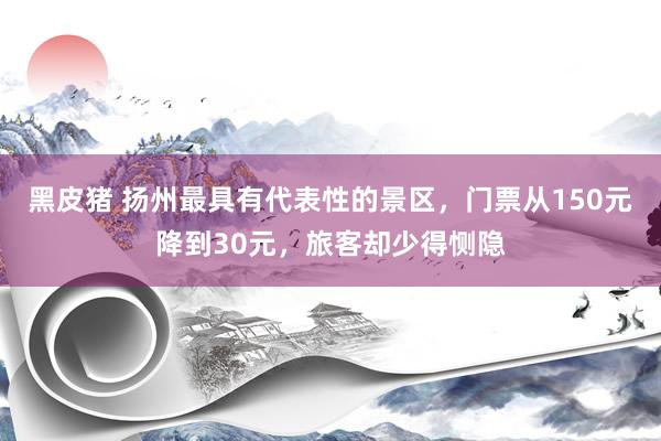 黑皮猪 扬州最具有代表性的景区，门票从150元降到30元，旅客却少得恻隐