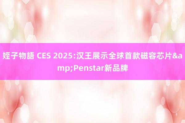 姪子物語 CES 2025:汉王展示全球首款磁容芯片&Penstar新品牌