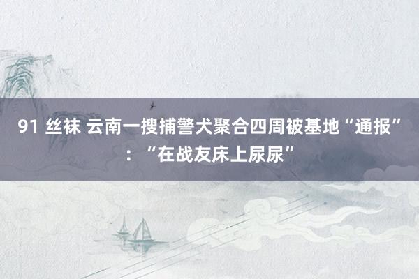 91 丝袜 云南一搜捕警犬聚合四周被基地“通报”：“在战友床上尿尿”