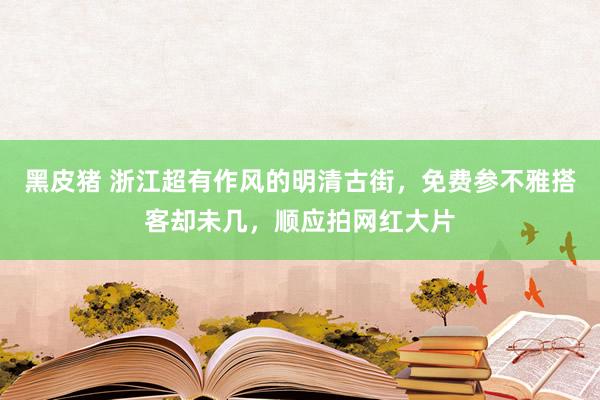 黑皮猪 浙江超有作风的明清古街，免费参不雅搭客却未几，顺应拍网红大片