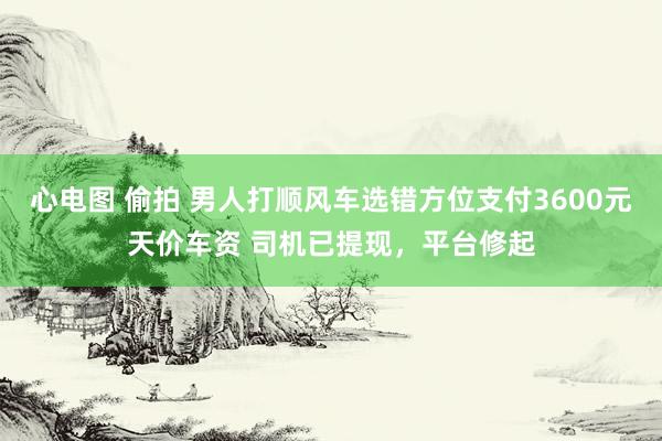 心电图 偷拍 男人打顺风车选错方位支付3600元天价车资 司机已提现，平台修起