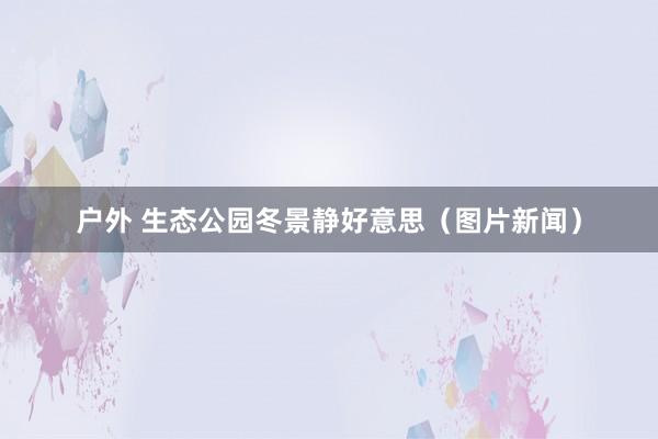 户外 生态公园冬景静好意思（图片新闻）