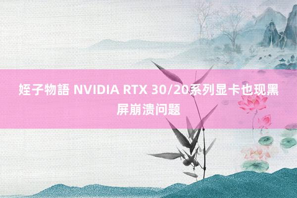 姪子物語 NVIDIA RTX 30/20系列显卡也现黑屏崩溃问题