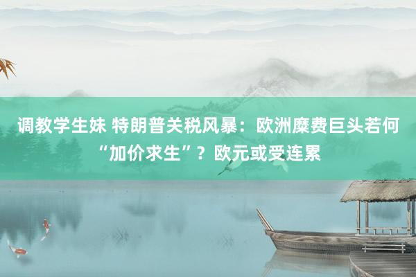 调教学生妹 特朗普关税风暴：欧洲糜费巨头若何“加价求生”？欧元或受连累