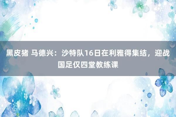 黑皮猪 马德兴：沙特队16日在利雅得集结，迎战国足仅四堂教练课