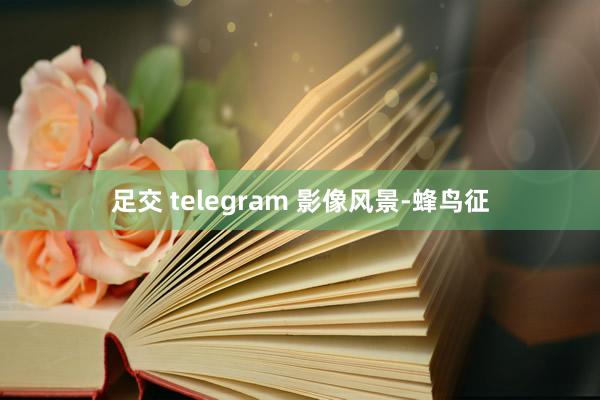 足交 telegram 影像风景-蜂鸟征